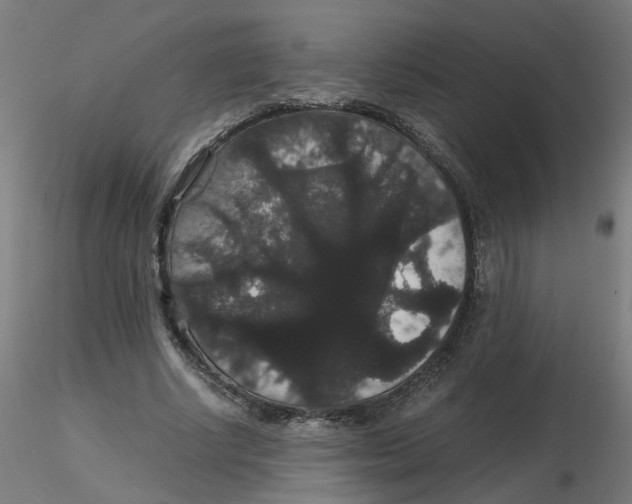 X0000116120634200912211654