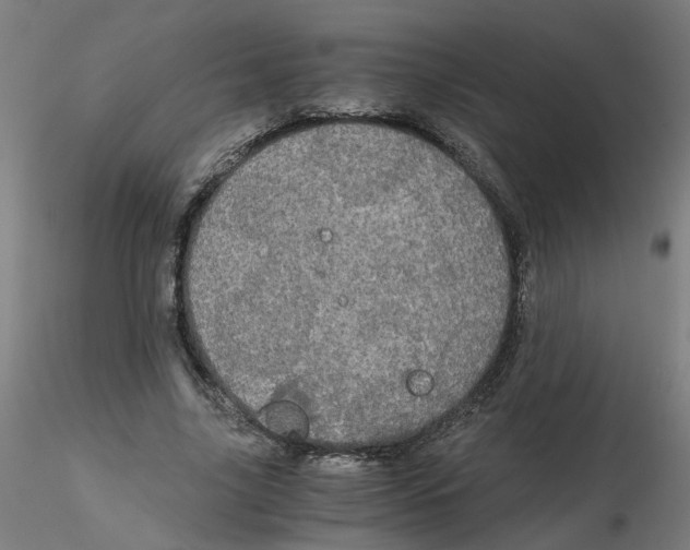 X0000116120635200912211654