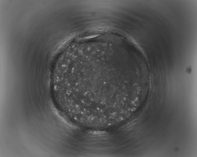 X0000116120637200912211655