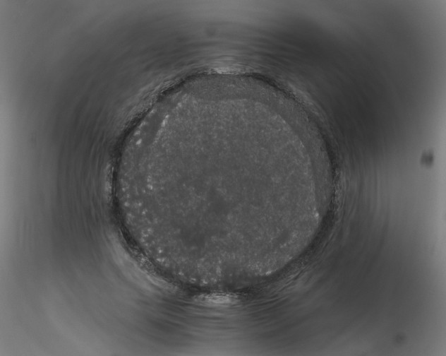 X0000116120639200912211655