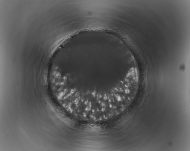 X0000116120640200912211655
