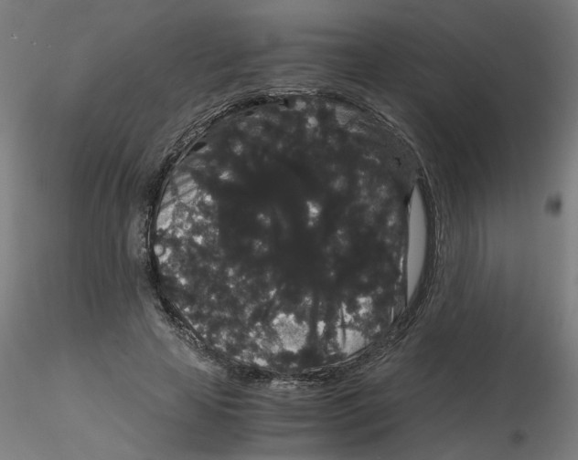 X0000116120641200912211655