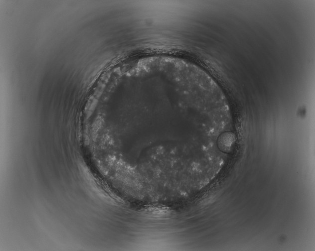 X0000116120642200912211655