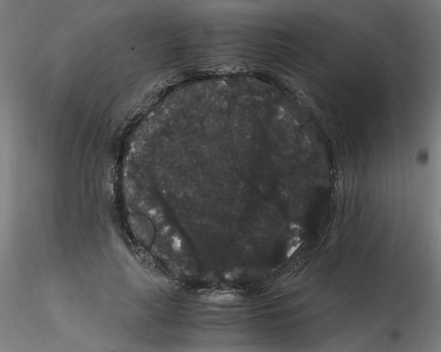 X0000116120643200912211655