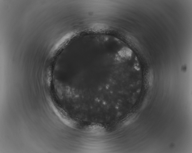 X0000116120644200912211655