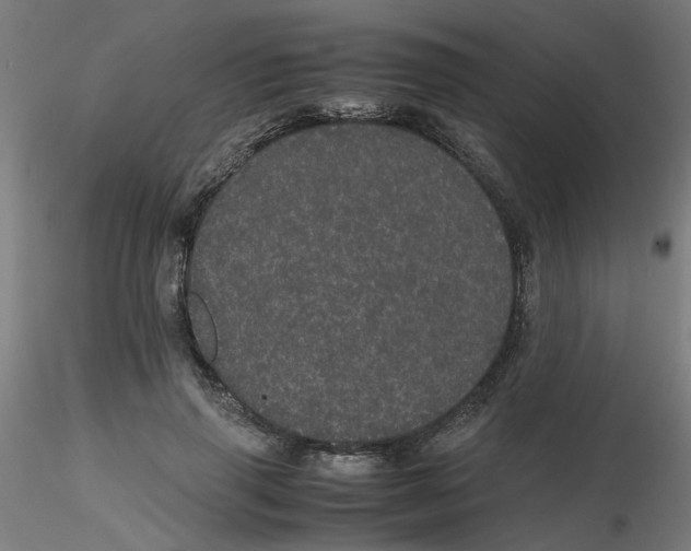 X0000116120645200912211655
