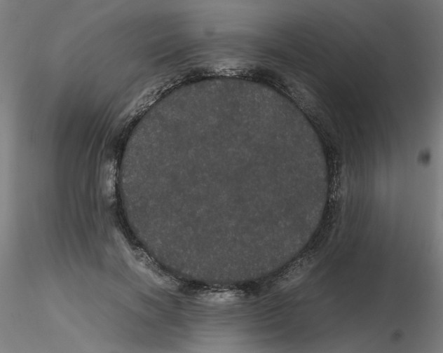 X0000116120646200912211655