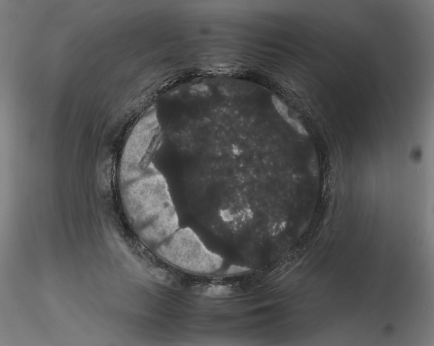 X0000116120647200912211655