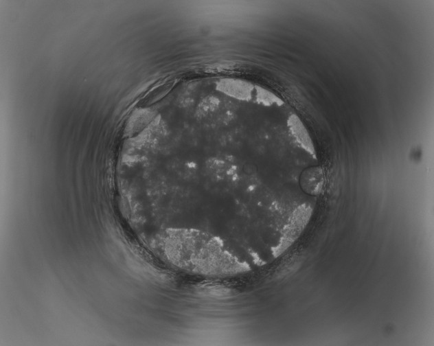 X0000116120648200912211655