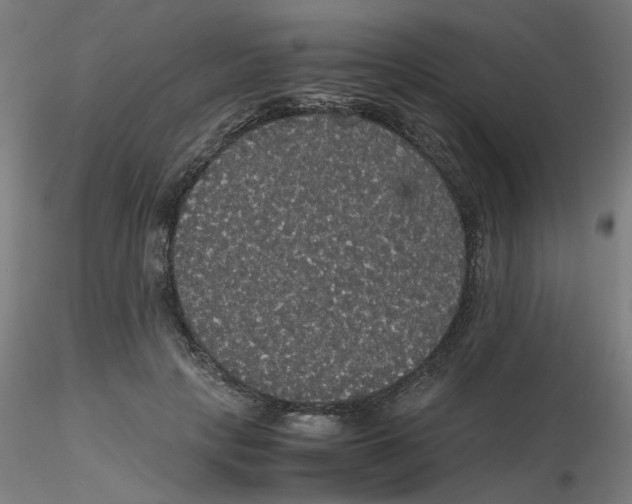 X0000116120649200912211655