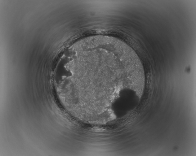 X0000116120650200912211655