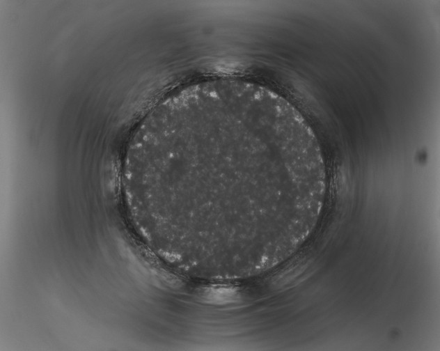 X0000116120651200912211655