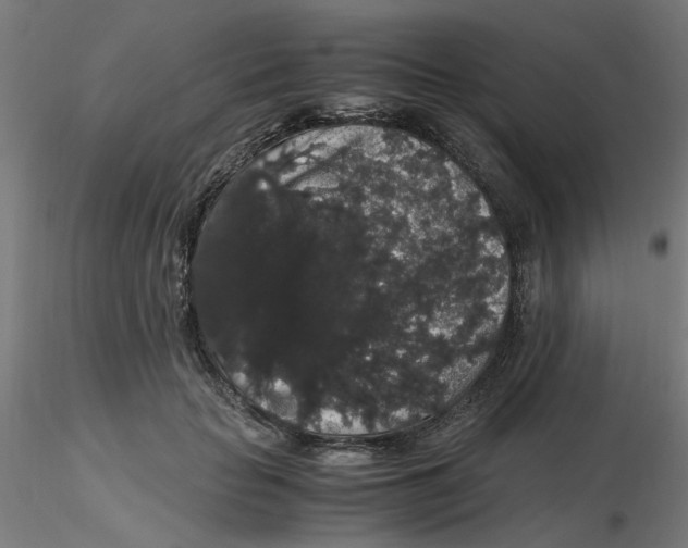 X0000116120653200912211655