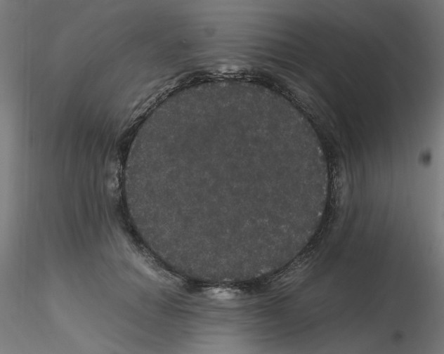 X0000116120654200912211655