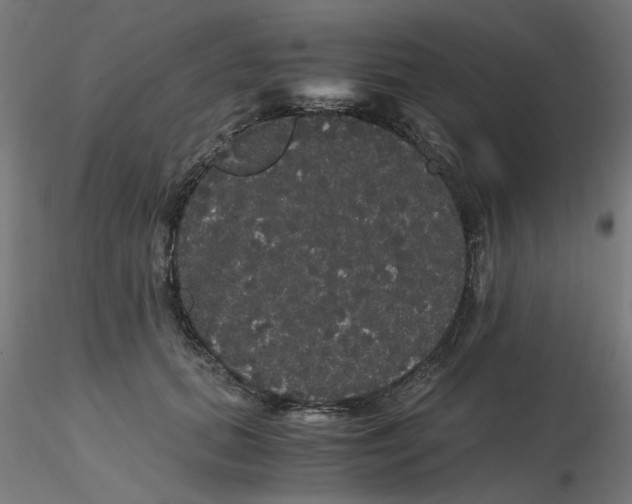 X0000116120655200912211655
