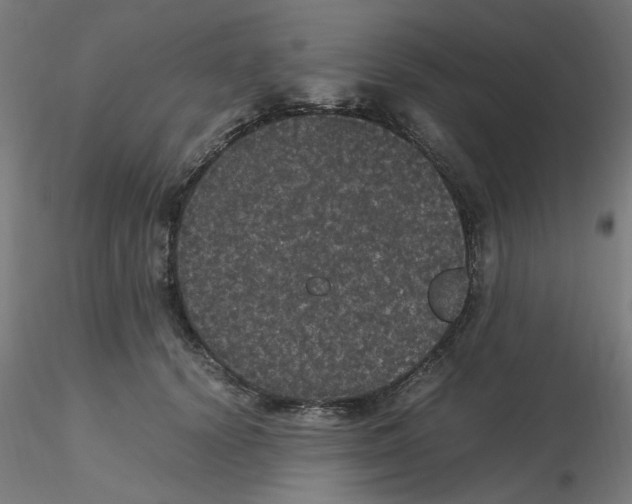 X0000116120656200912211655
