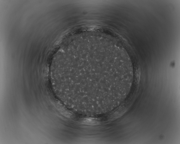 X0000116120657200912211655