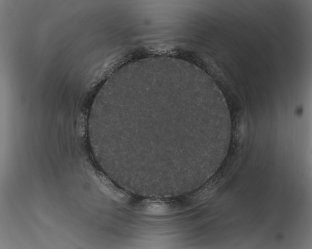 X0000116120658200912211655