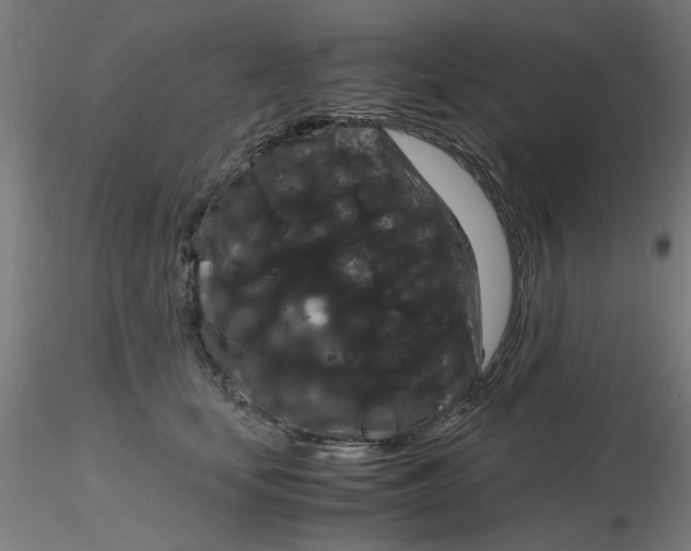 X0000116120659200912211655
