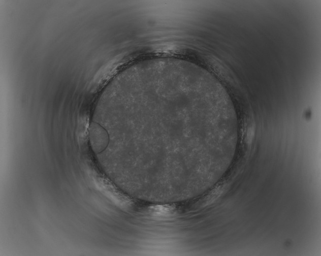 X0000116120660200912211655