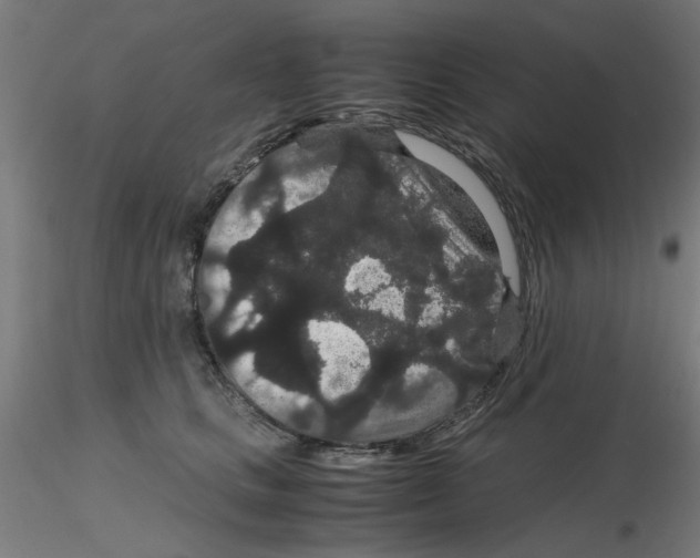 X0000116120661200912211655
