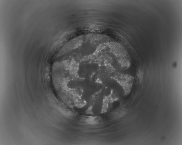 X0000116120663200912211655