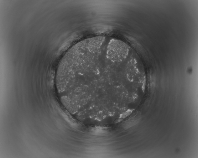 X0000116120664200912211655