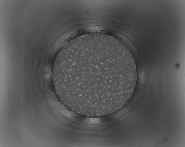 X0000116120665200912211655
