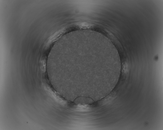 X0000116120666200912211655