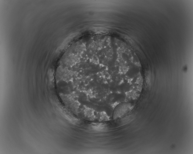 X0000116120667200912211655