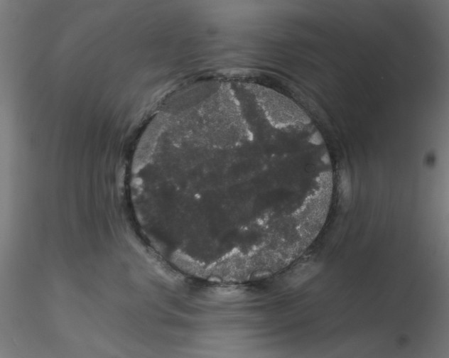 X0000116120668200912211655