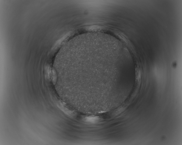 X0000116120669200912211655