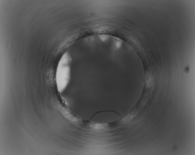 X0000116120670200912211655