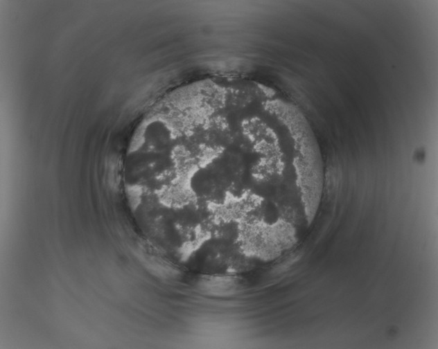 X0000116120671200912211655