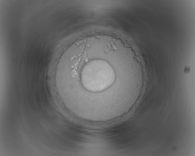 X0000116120672200912211655