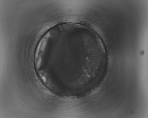 X0000116120673200912211654