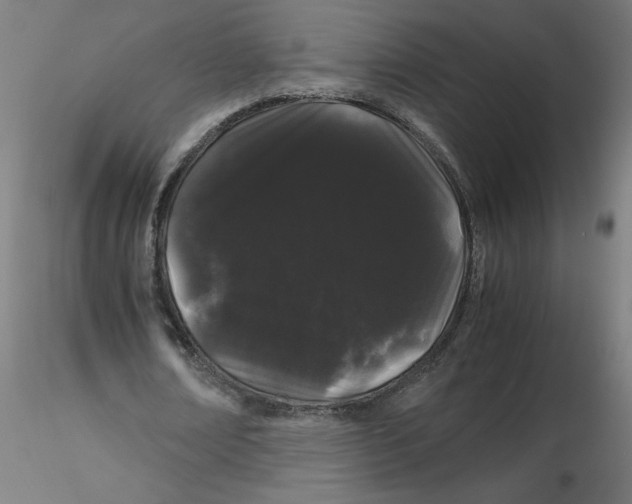 X0000116120674200912211654