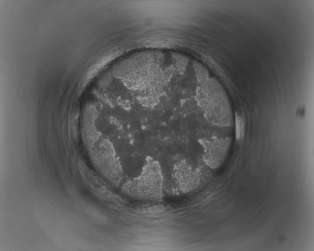 X0000116120675200912211654