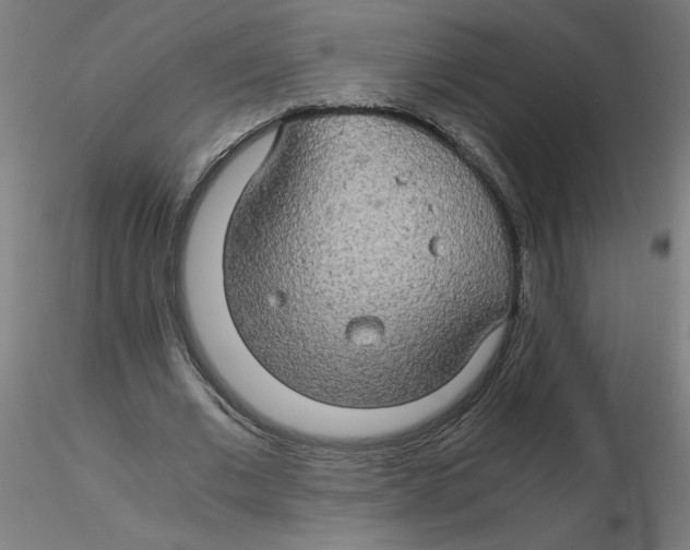 X0000116120677200912211654