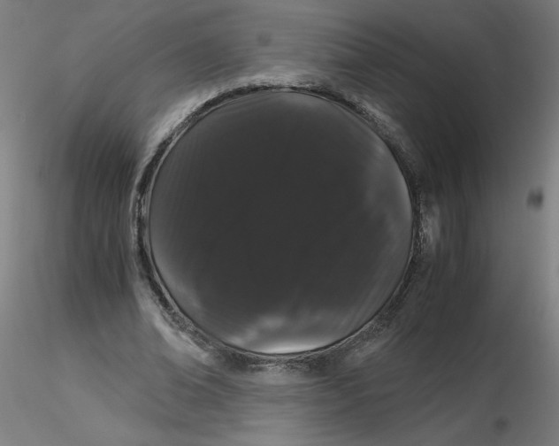 X0000116120678200912211654