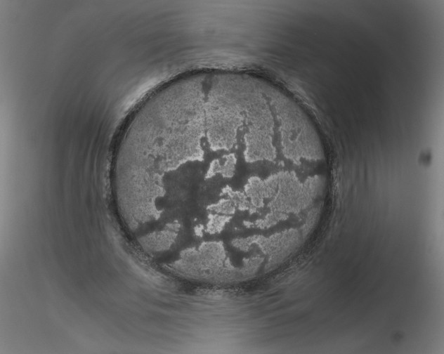 X0000116120679200912211654