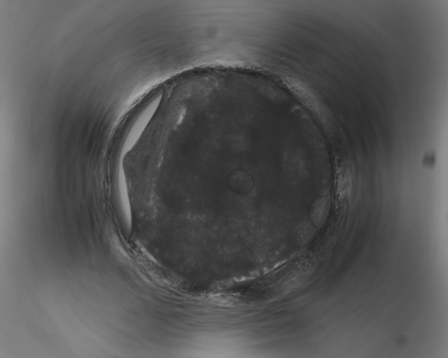 X0000116120680200912211654