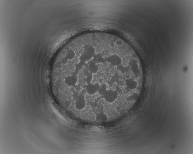 X0000116120683200912211654