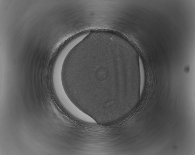 X0000116120684200912211654
