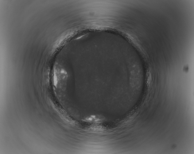 X0000116120685200912211654