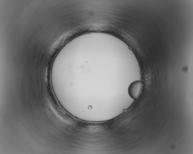 X0000116120686200912211654