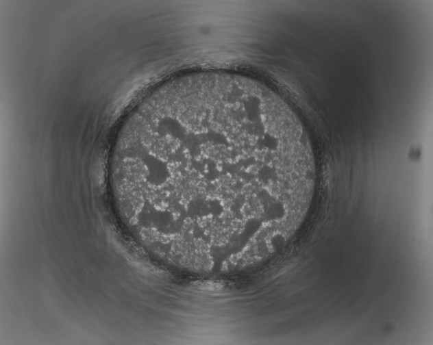 X0000116120687200912211654