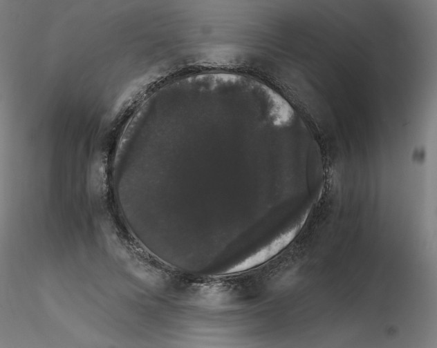 X0000116120688200912211654