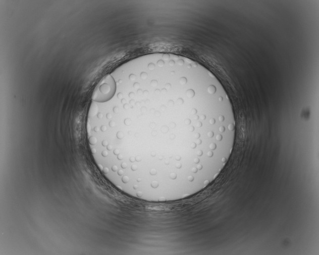 X0000116120690200912211654