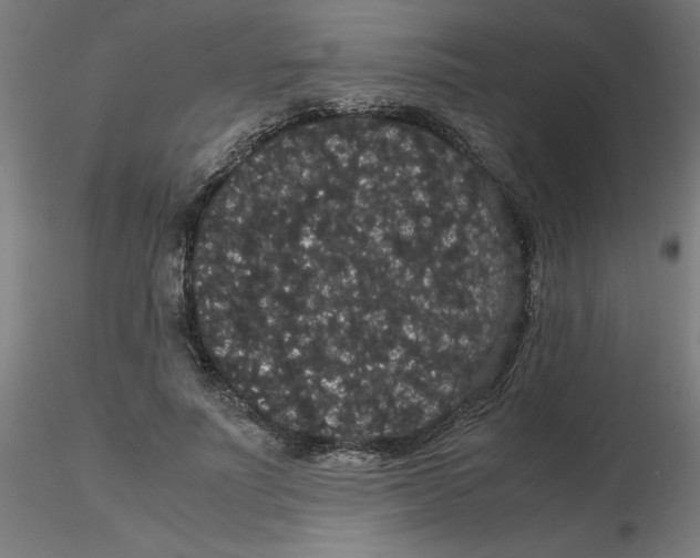 X0000116120691200912211654